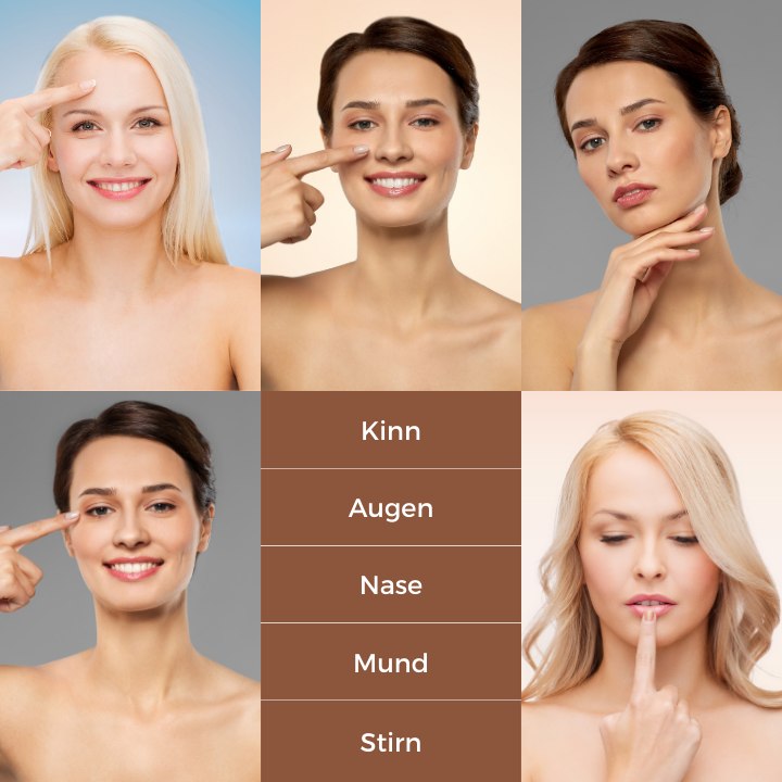 Die verschiedenen Merkmale des Gesichts: Kinn, Augen, Nase, Mund, Stirn