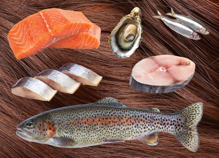 Fischarten, die gut f&uuml;r dein Haar sind