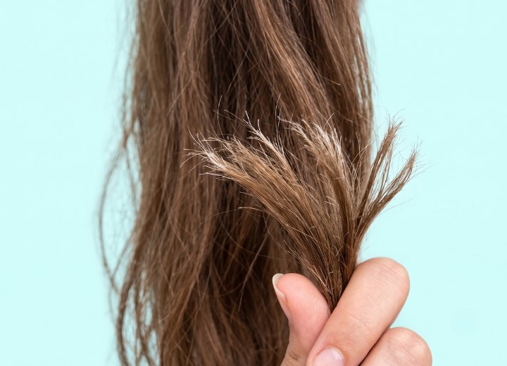 Haar mit Spliss
