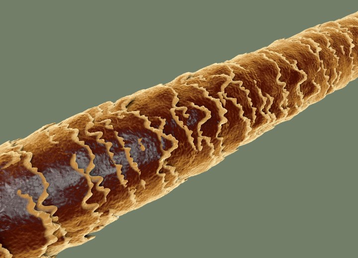 Haarsträhne unter dem Mikroskop gesehen
